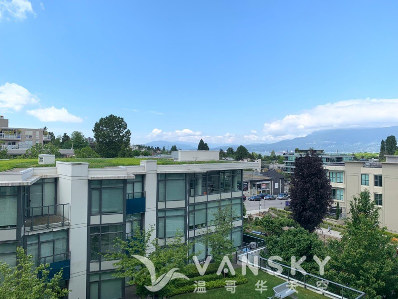 260311125322_pic 1.jpg